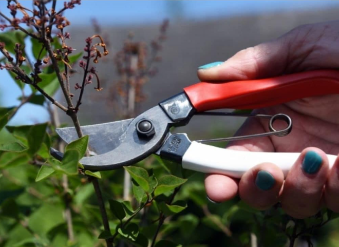 Okatsune Pruning Shears, 104 Gartenschere, groß