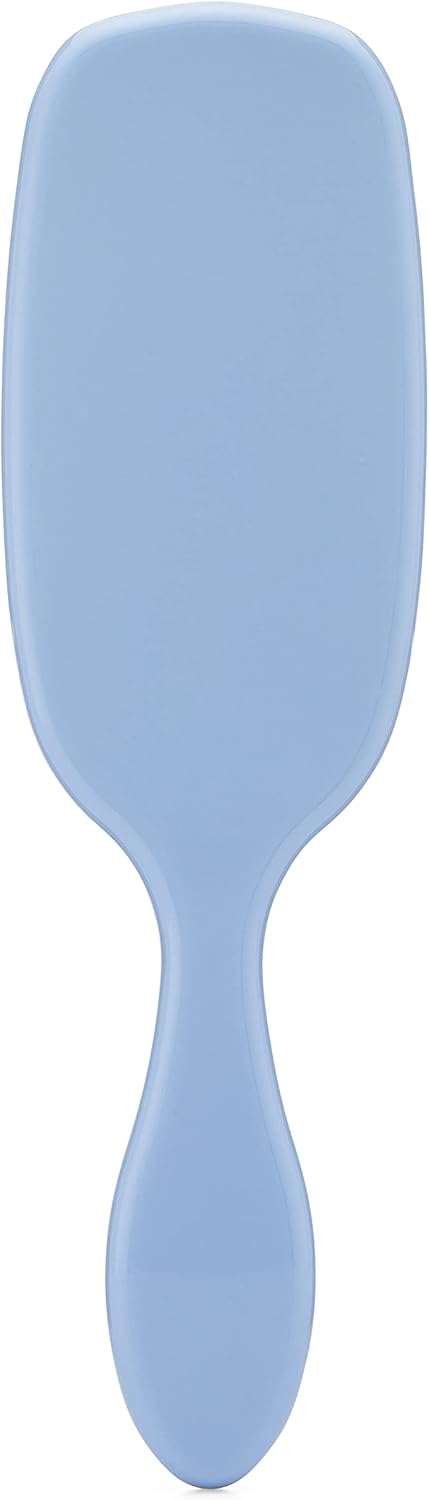 WetBrush Shine Enhancer Brush with Soft Intelliflex and Natural Boar Bristles to Help Distribute Hairs Natural Oils, Wet Brush Detangler Is Gentle on Hair, Sky