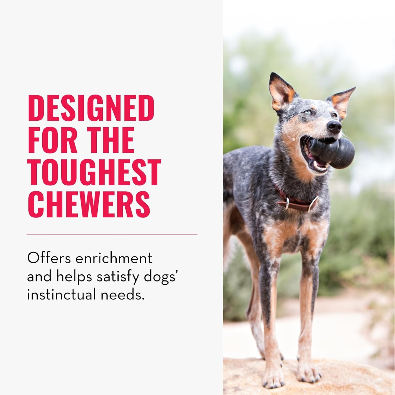 KONG Extreme Dog Toy, Fetch & Chew Toy for Power Chewers, Treat Dispenser, Durable Natural Rubber Material, for Medium-Sized Dogs