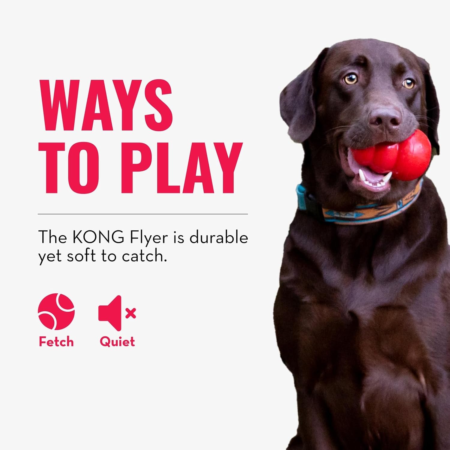 KONG Flyer - Durable Dog Toy for Outdoor Playtime - Natural Rubber Flying Disc for Fetch - For Medium/Large Dogs