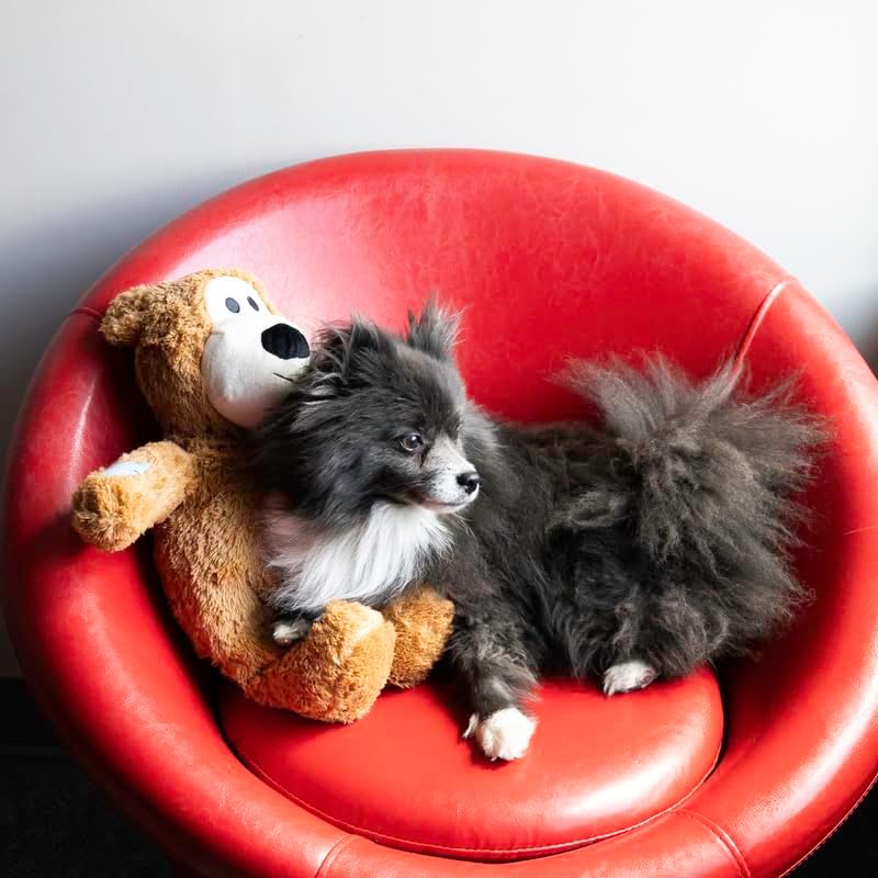 KONG Wild Knots Jumbo Bear Dog Toy Assorted