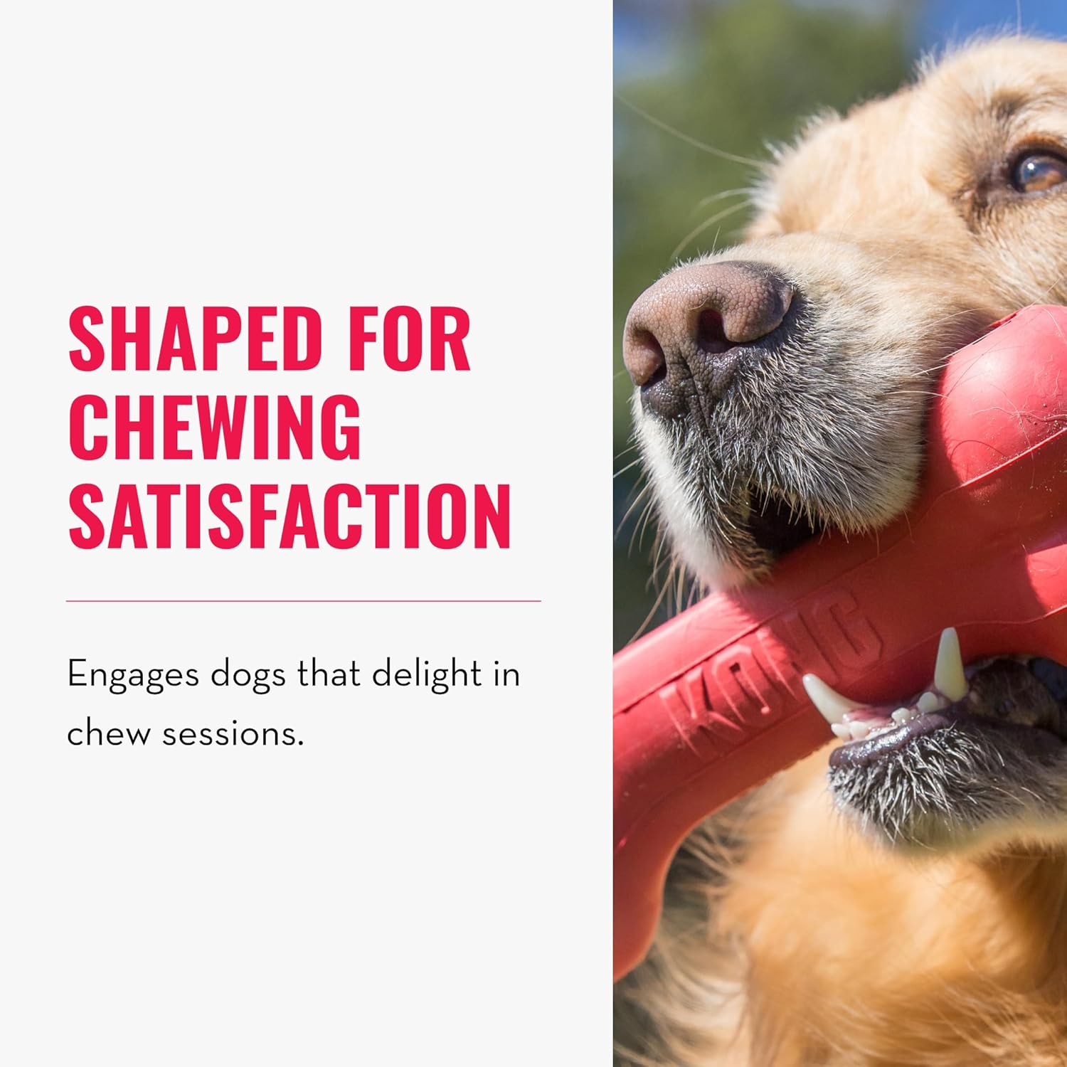 KONG Goodie Bone - Classic Natural Rubber Dog Bone - Treat Dispensing - For Large Dogs, Red