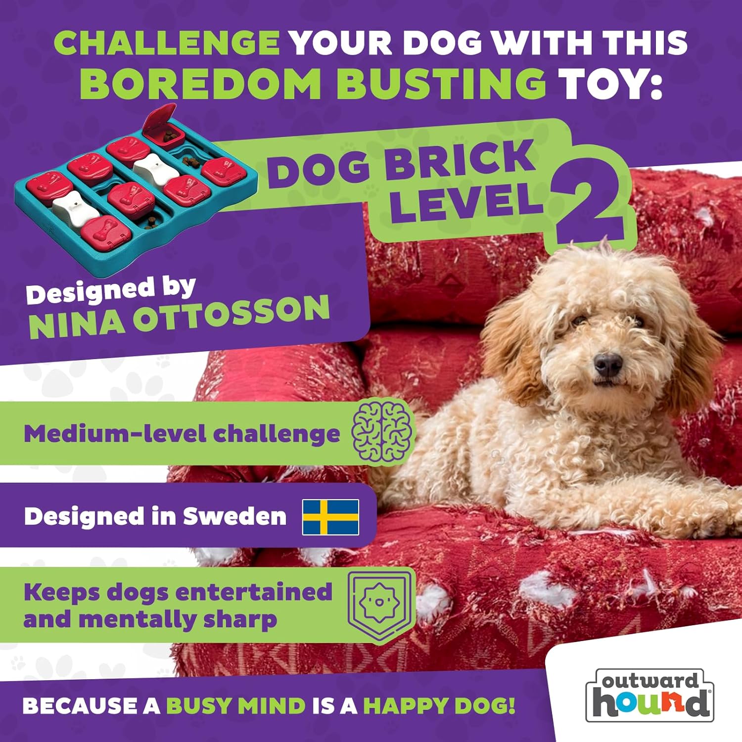 Outward Hound by Nina Ottosson Dog Brick Treat Puzzle Enrichment Toy, Level 2 Intermediate Game, Blue