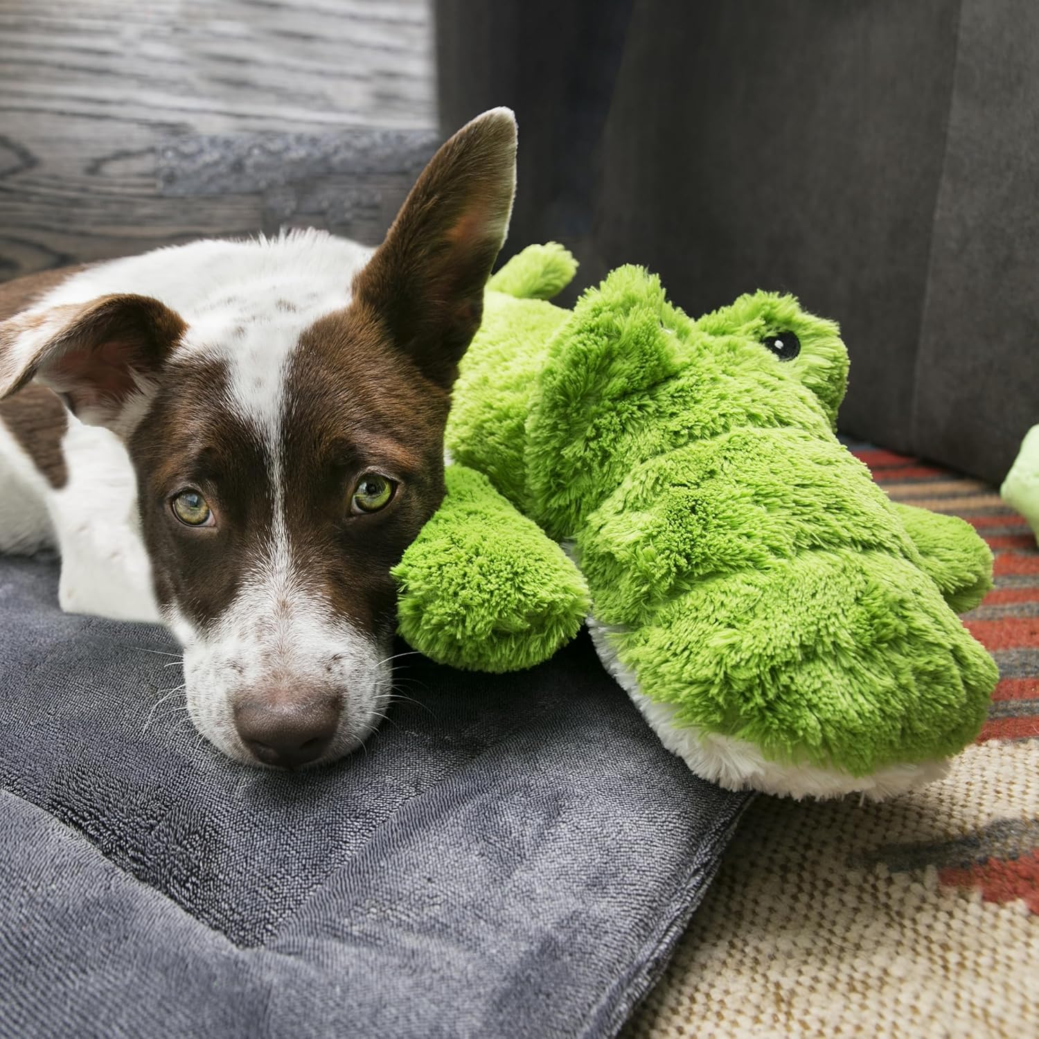 KONG - Cozie™ Ali Alligator - Indoor Cuddle Squeaky Plush Dog Toy - For X-Large Dog