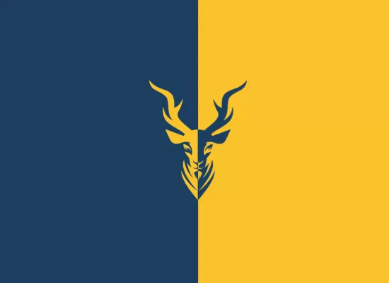 Kapra Falconeri - Smart Technology Procurement